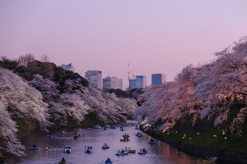 JAPAN HIDDEN GEMS SCHOOL TOUR