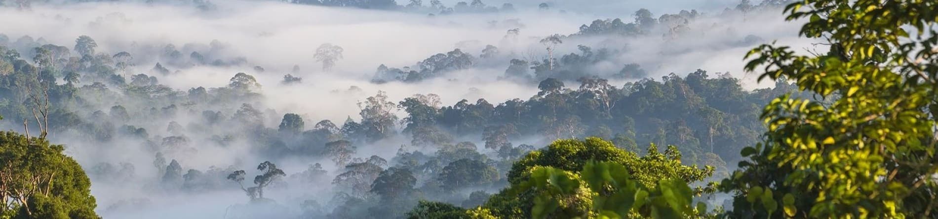 BORNEO WILDERNESS AND WILDLIFE SCHOOL TOUR